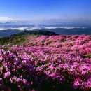 한별프라자 이미지