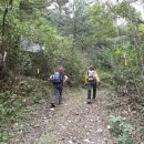 구평동-1 이미지