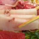 바로참치