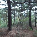 선산대로-33 Daum카페