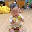 (주)오감디자인 | 대구 신세계백화점 문화센터 [으쓱으쓱 오감놀이] 4개월부터한 솔직후기