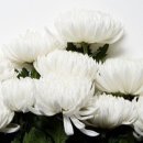 서천한국요양병원 이미지