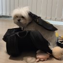 차윤 | 유월이라는 단어 발음이 되게 매끄러움