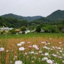 구름사다리펜션 이미지