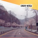 오동세천 네이버블로그