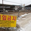 영일의원 이미지