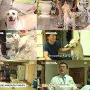 상위농장(4농장) 네이버블로그