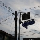 석성동헌 탱자나무 | 천연기념물이 된 탱자나무가 있는 부여 석성동헌과 석성향교