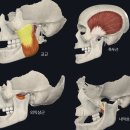 경희유엔한의원 이미지