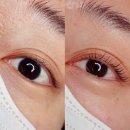 회룡역 | | 리셋뷰티 - 의정부 | 유지력 좋은 회룡역 속눈썹 펌 후기