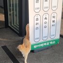 부여백제(서천)휴게소 화장실 이미지