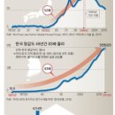버블 이미지