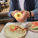 멕시칸치킨랜드 네이버블로그