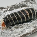 태경김밥마을 이미지