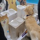 (주) 메가뉴스