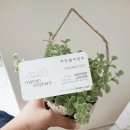 마망엘리펀트 이미지