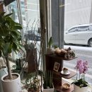 오로빌베이커리 이미지