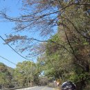 디마숍 | 잔차당 남한산성, 쓰부 라이딩 with 공인