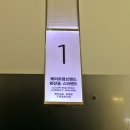 [내돈내산] 부산 해운대 신세계백화점 논픽션 가이악 플라워 핸드크림 리뷰