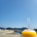 연대도달맞이 이미지