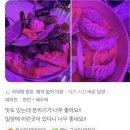 호프 포차 황금돼지 | 밀양 술집 추천 끝판왕, 국밥싸롱 &amp; 포차싸롱, 밀양 호프집