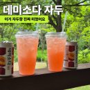 데미소다 자두 후기, 달콤한 자두향에 탄산까지 시원했던 신상 음료