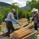 이레농장 이미지