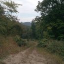 3천리공인중개사사무소 이미지