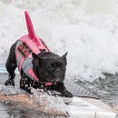 두산미소약국 이미지