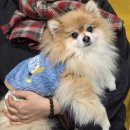 하이빌디테일링 | 대구 수성구 상동 세차 손세차 전문 II 내차에반하다 수성점 II