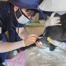 중앙동물약품 이미지