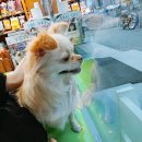 신촌동물병원 이미지