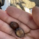 라이언 스위밍 센터 용당점 이미지