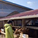 기훈목장 이미지