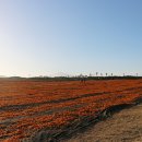 주홍목장 이미지