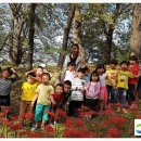 김천모암초등학교유치원 이미지