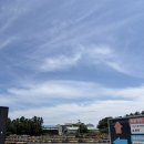 서광자연 | 제주 서귀포 가볼만한곳, 서광카트체험장 솔직후기