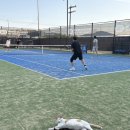 스타테니스장 | 🎾 엘1 테니스장 야외 수업 후기