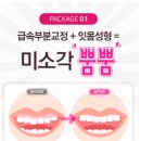 미소각 네이버블로그