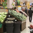 야채마트 이미지