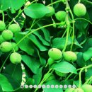 거여1단지(106동) 이미지