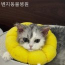 벤지동물병원 이미지