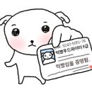 이에나 파이