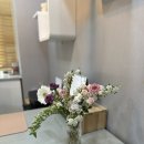 아미플레르 이미지