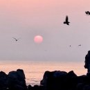 누군가를 사랑한다는 것은 - 이정하 이미지