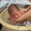 아르테미스 산후조리원 이미지
