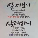 웰메이드포항 이미지