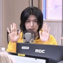 보헤 미안