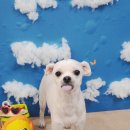 송내동3 이미지