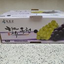 아빠청포도